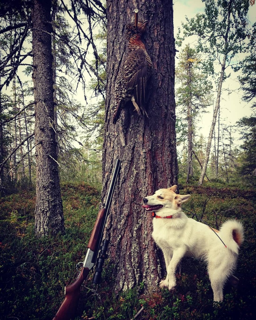 img_20181209_215144_933