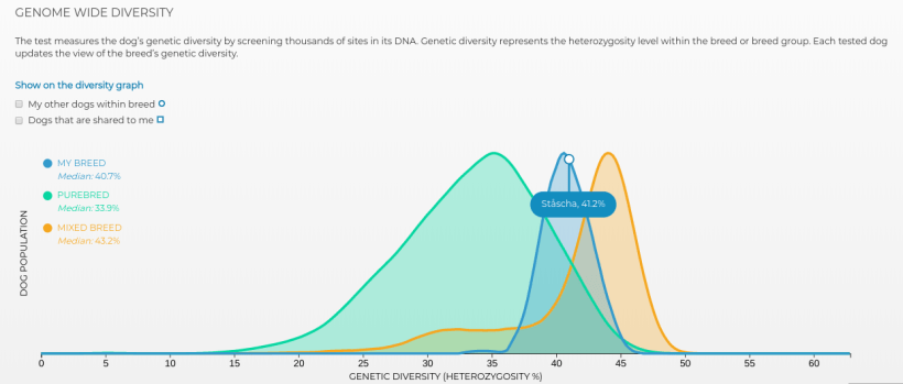 screenshot-2019-08-10-at-16.10.05