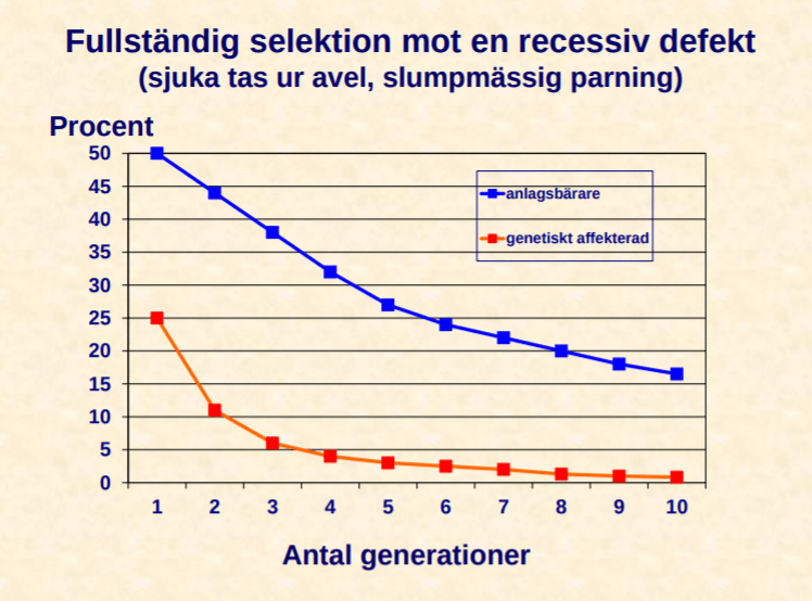 Screenshot 2020-02-02 at 09.41.55